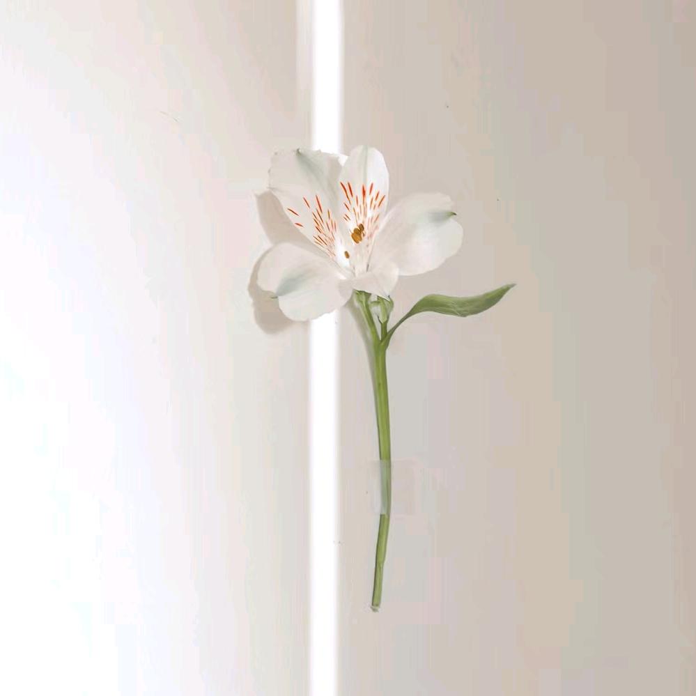默。
