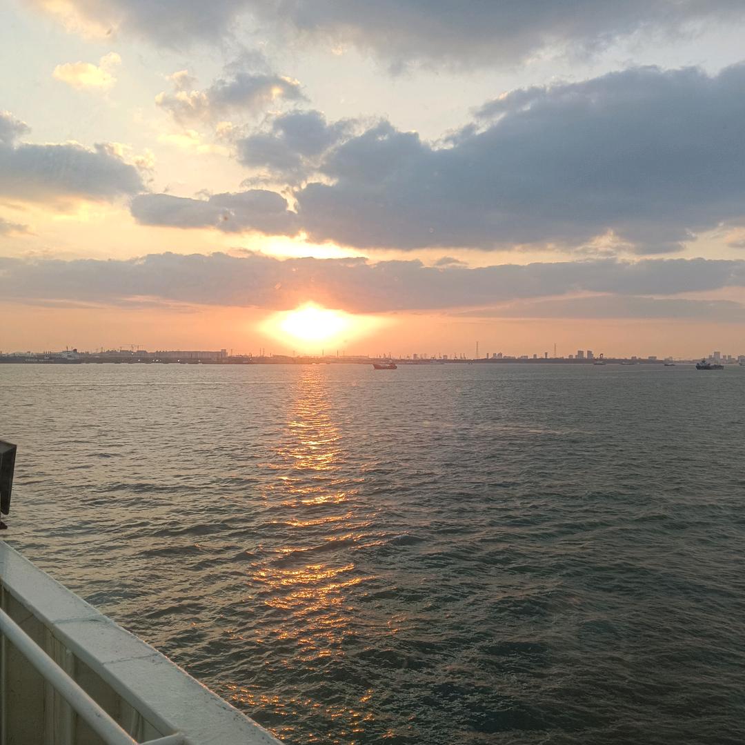 小陶