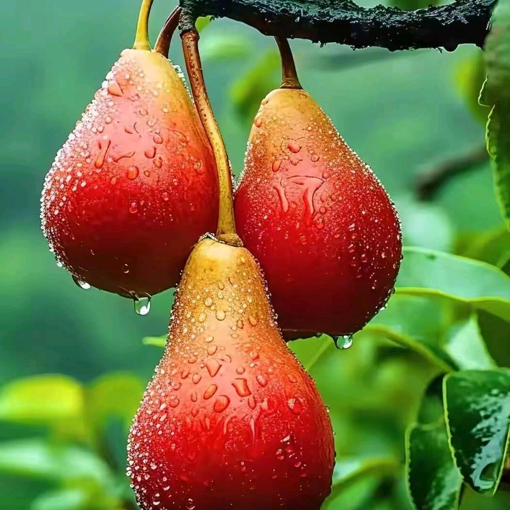 🌺🌺幸福小妞💃🏻❤️