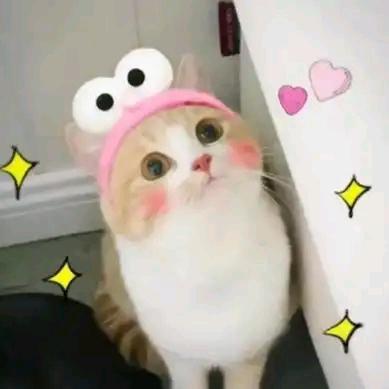 知瑾