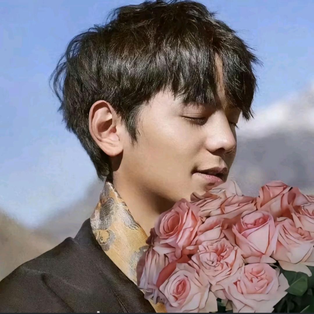 星辉葬梦（三角洲行动）