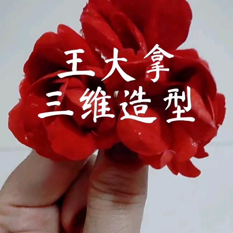 王大拿三维造型.逆向建模.模具制造