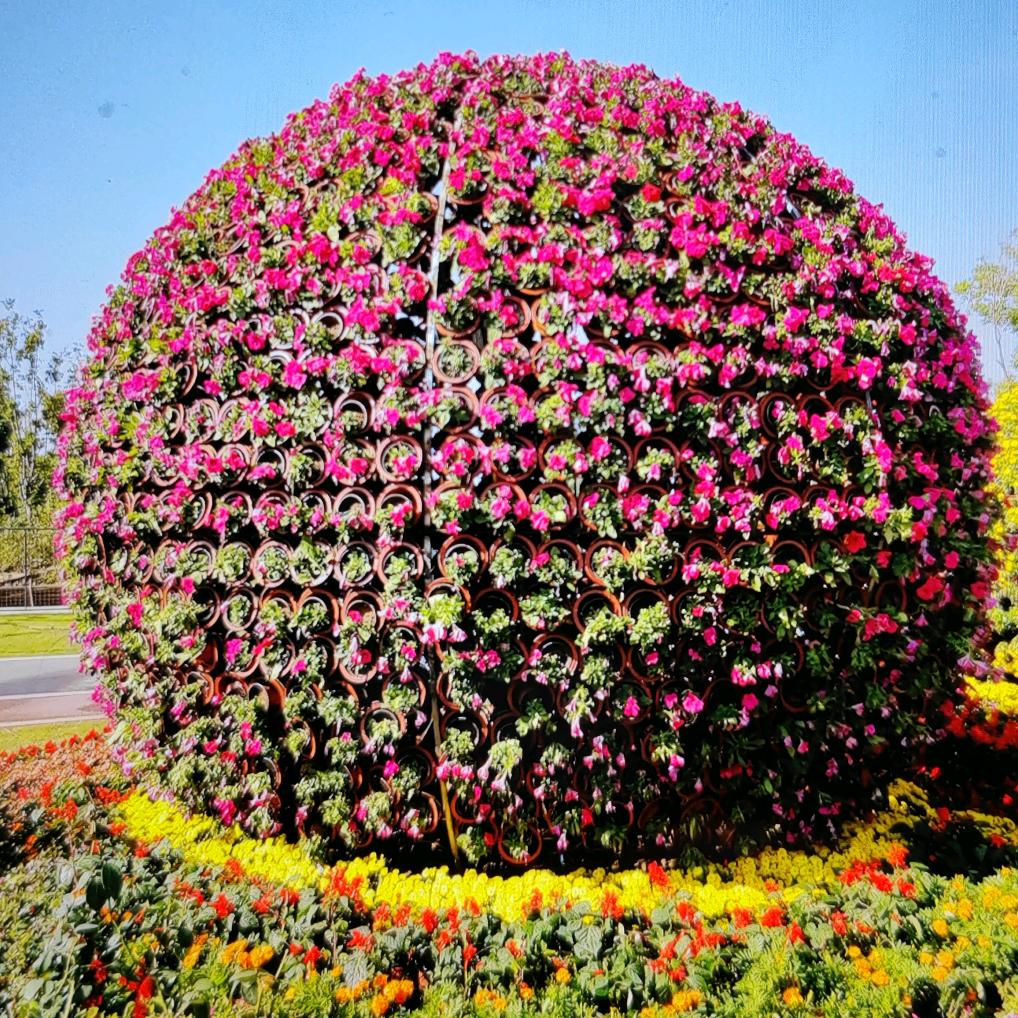 🍀幸福花开🍀