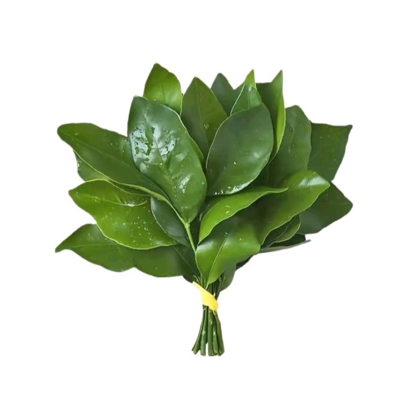 坏天气