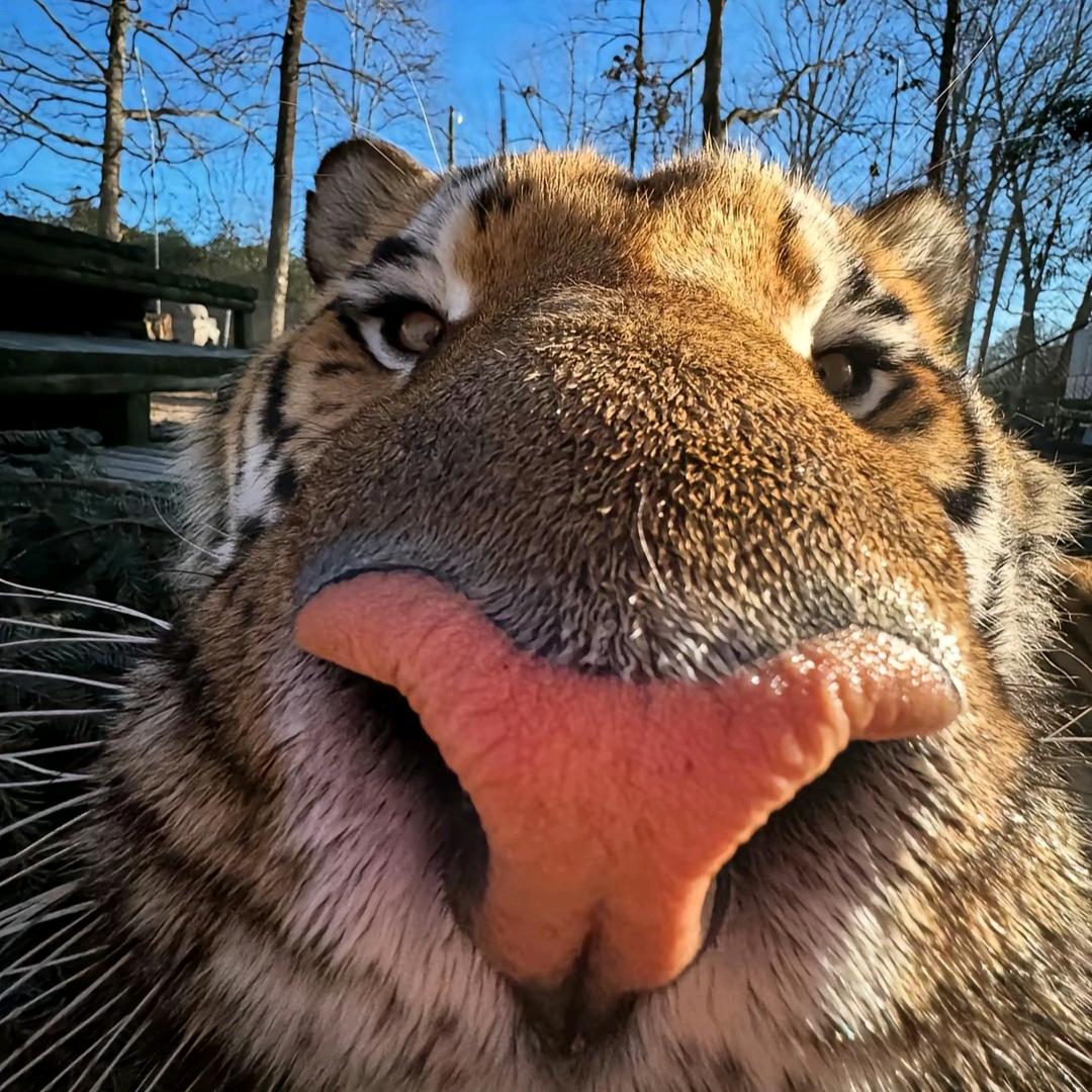 隔壁王老五勾引壮壮妈