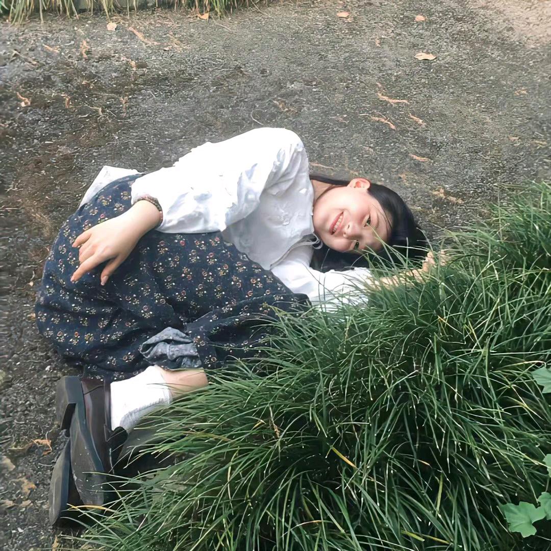那只鹤儿