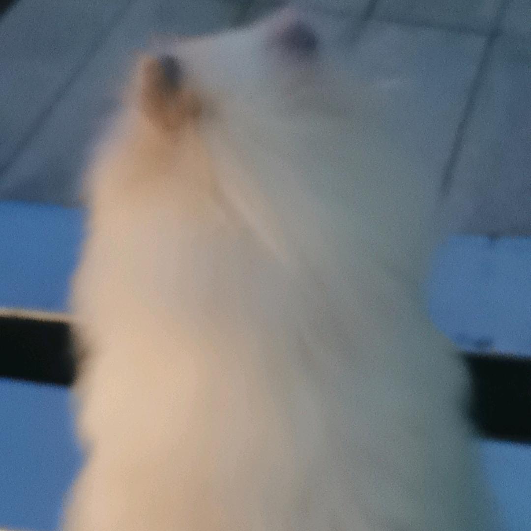 又遇好物
