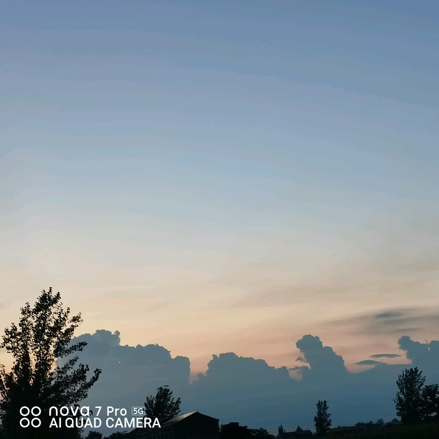 柠檬不萌但很酸