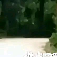 一人闯天下