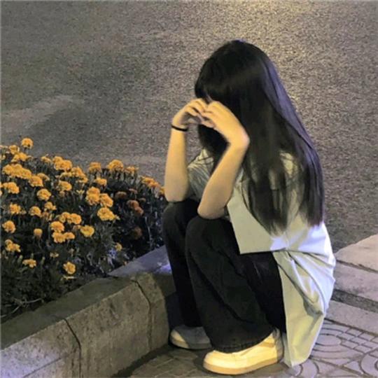 摆烂小鱼 z fy