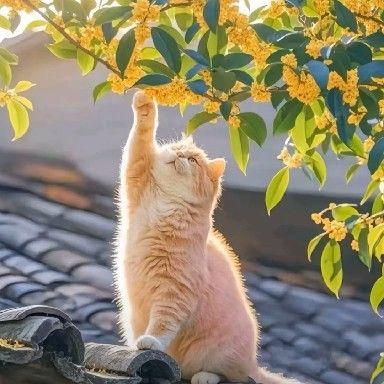 春风十里不如悦己