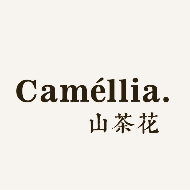 安陆市女装店 Camelia.山茶花