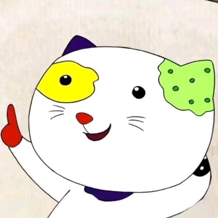 大脸猫不吃🐟