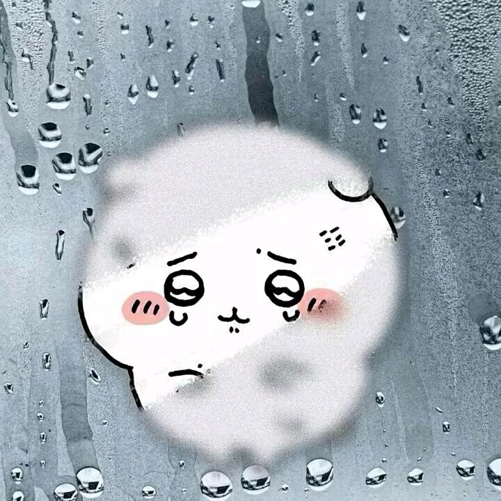 侍卫小浅怡.