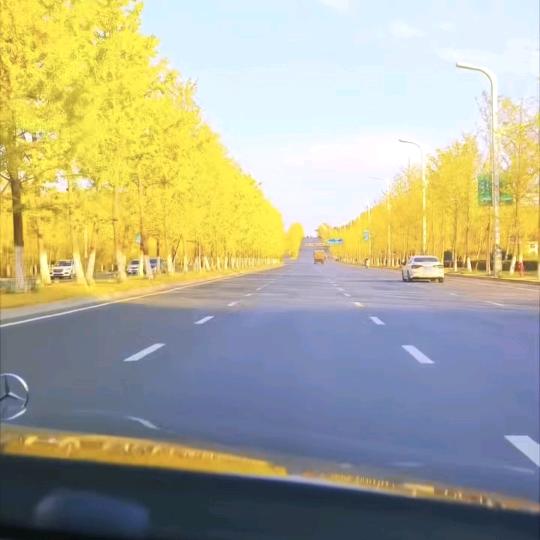 安康蜂窝大板木饰面全屋定制强哥