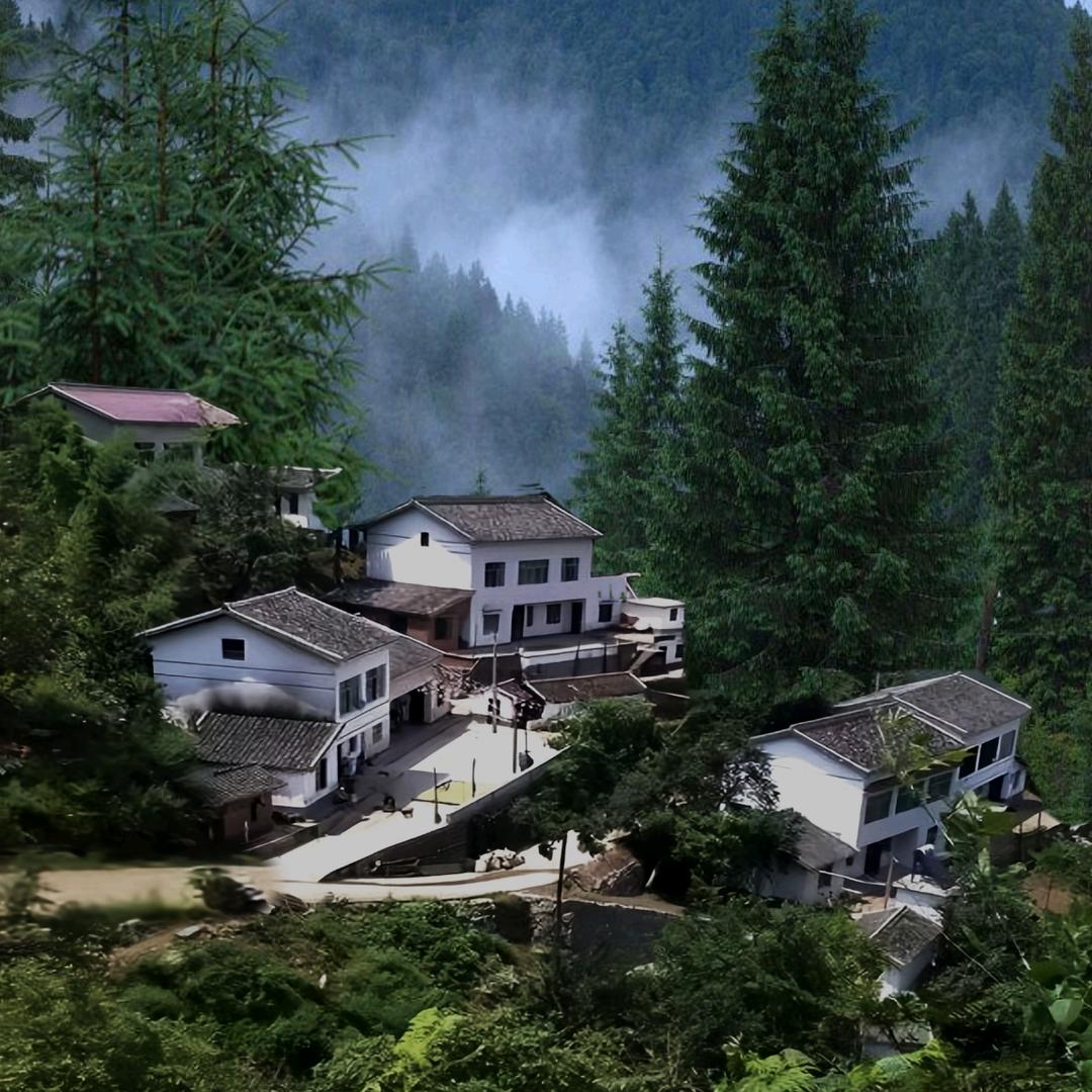 小叶短剧