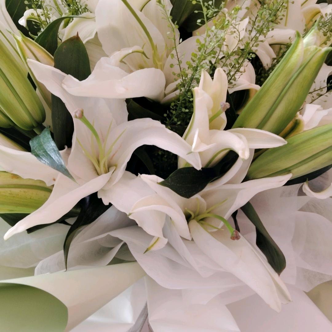 你若一直爱，我便一直在