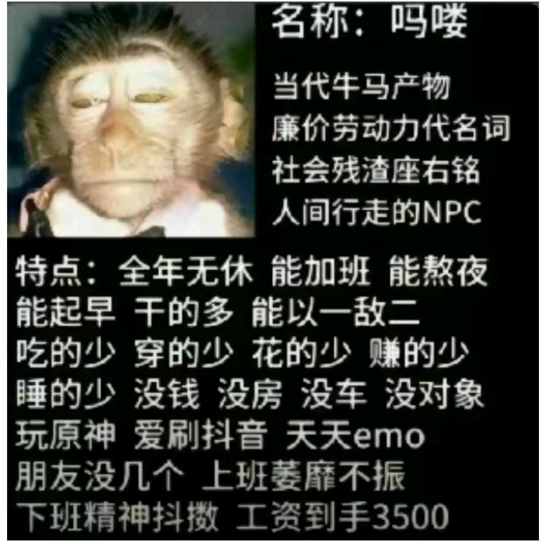 吗喽
