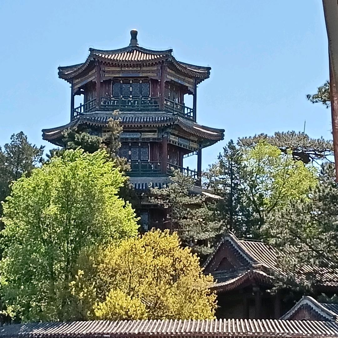出租车🚖，良哥，接单中