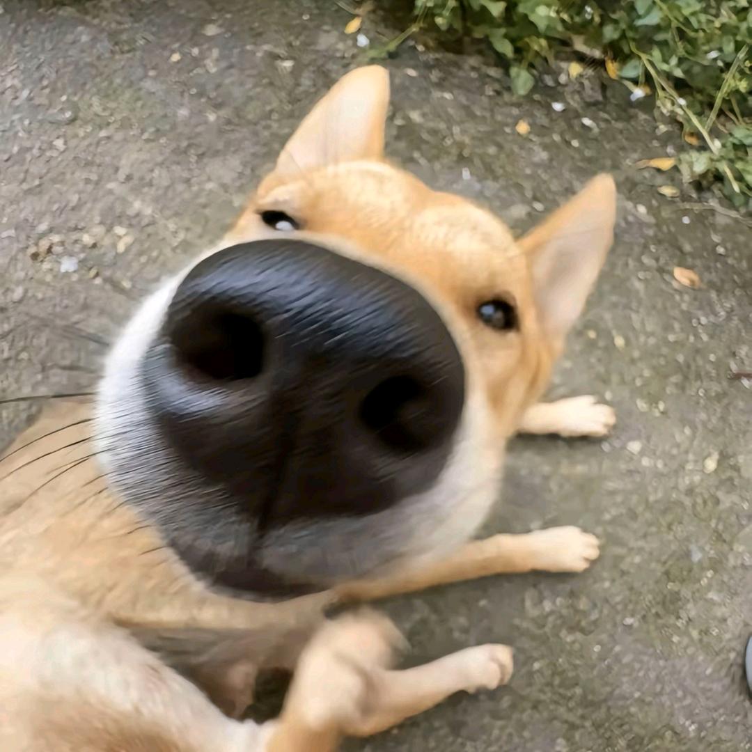 贵州大魔王Ω🇨🇳