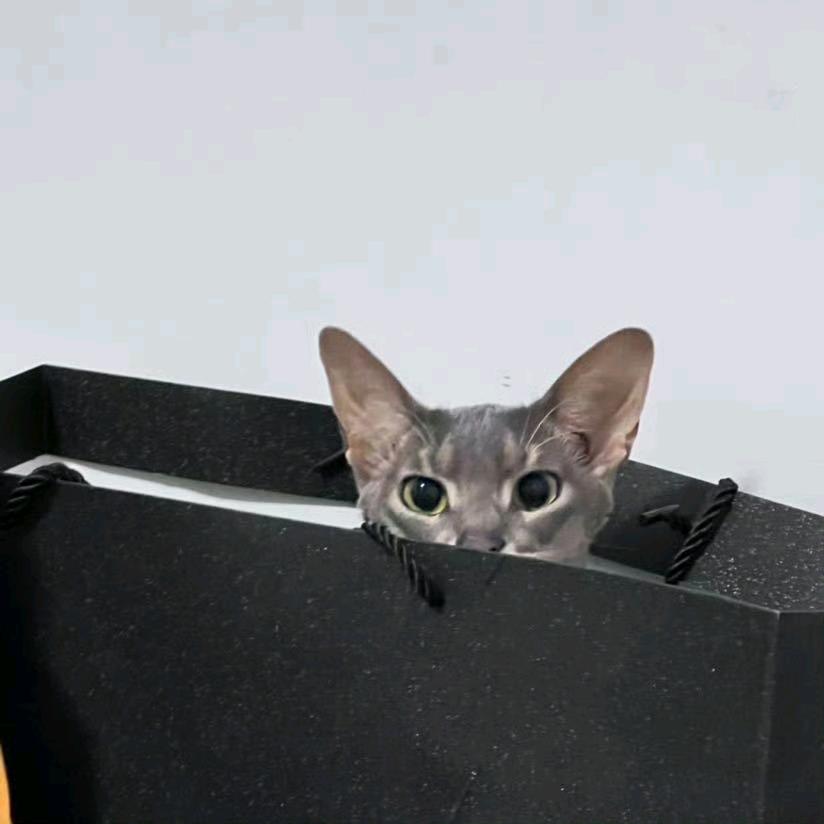 全都给我起来重睡