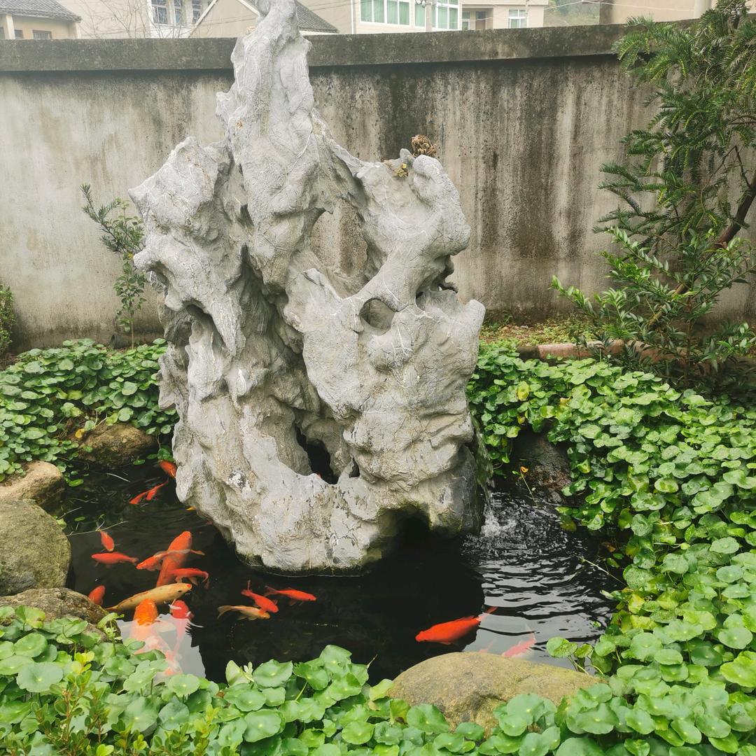 五彩芬芳