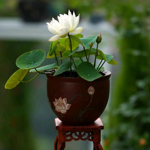 时雨……🐒🐎