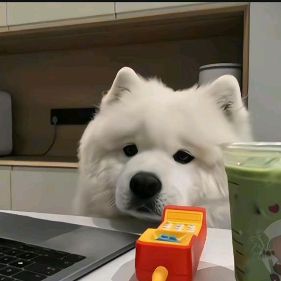 宝藏🐭（三角洲行动）