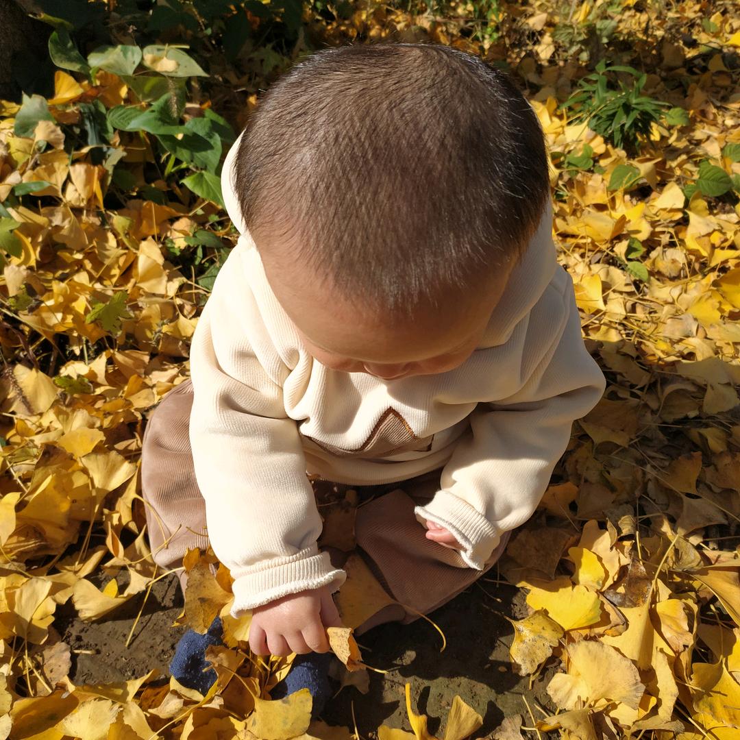 茗宝
