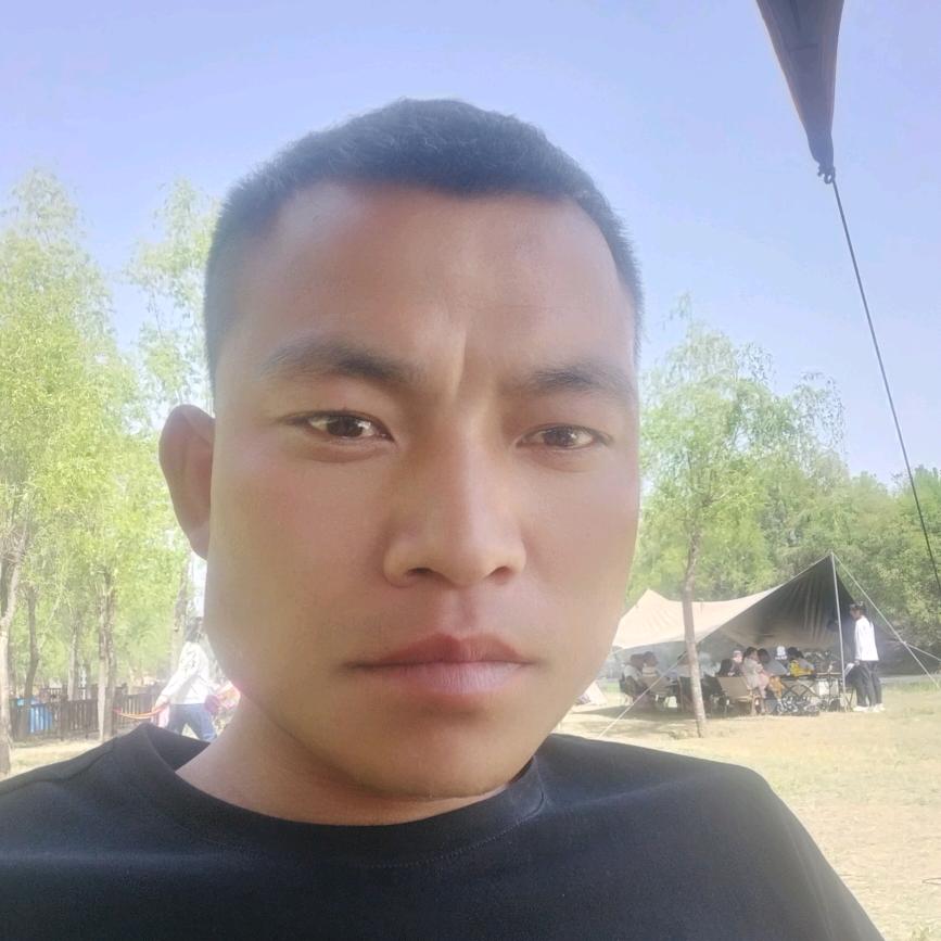 打不死的小强