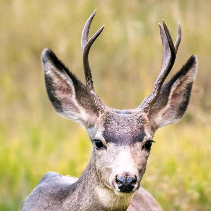 礼貌，，退场！！