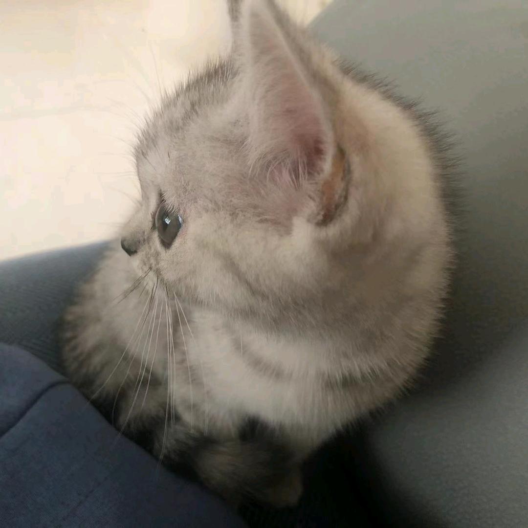 李玲