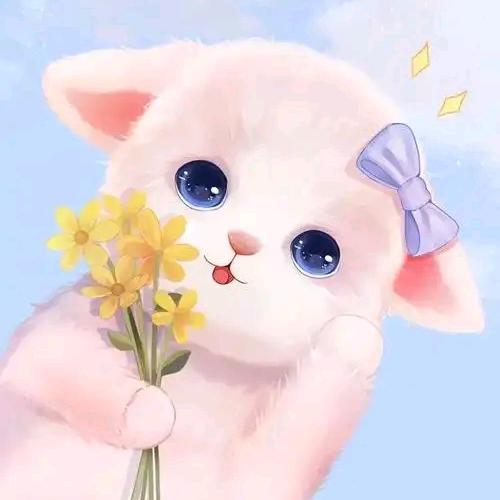 阿尔法（团购达人）