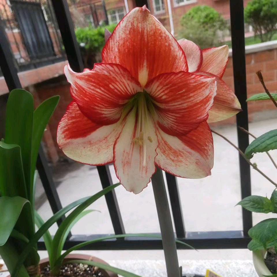 单纯的人更快乐