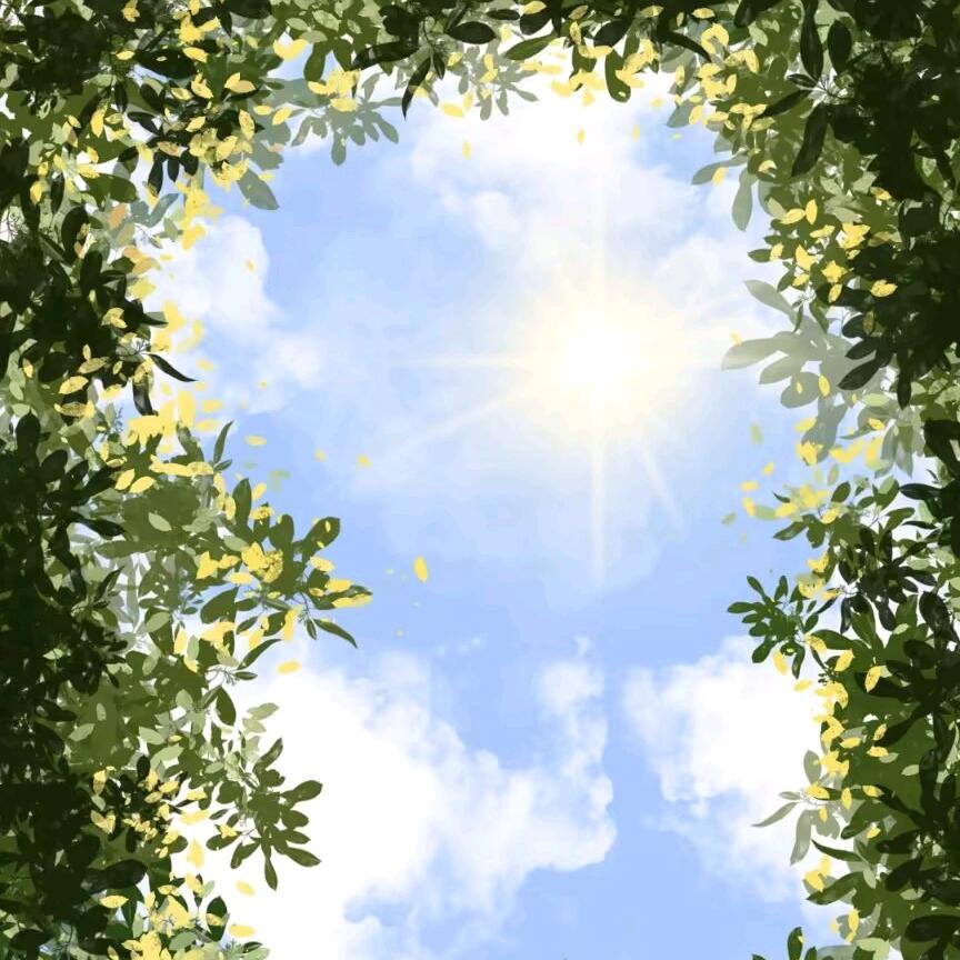 太阳叫我起床