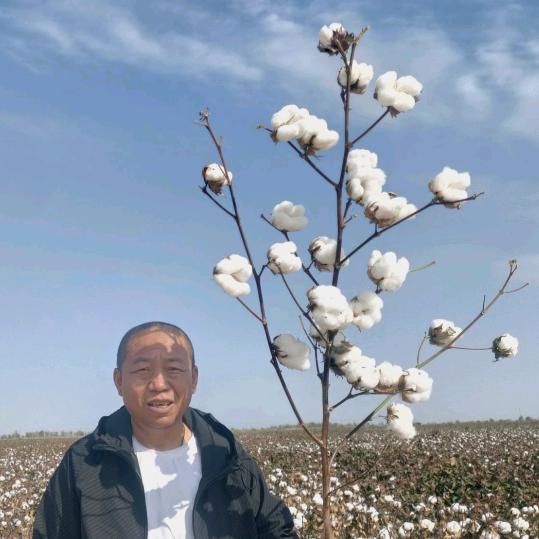 金世宝农业.兵哥