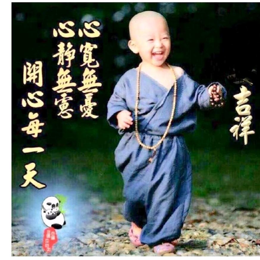 淡定是福