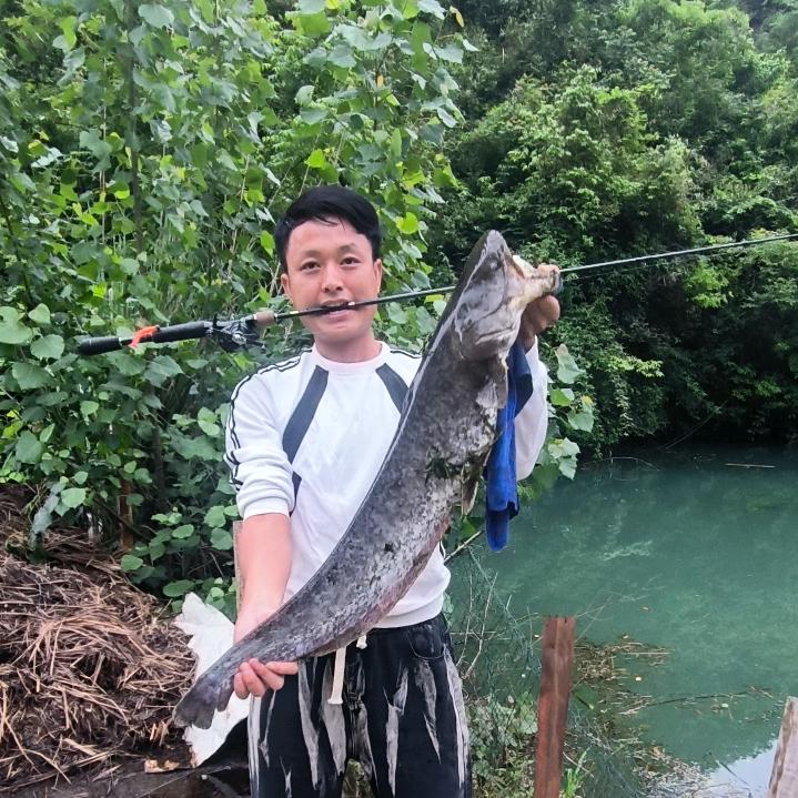 峰哥钓鱼只钓大鱼