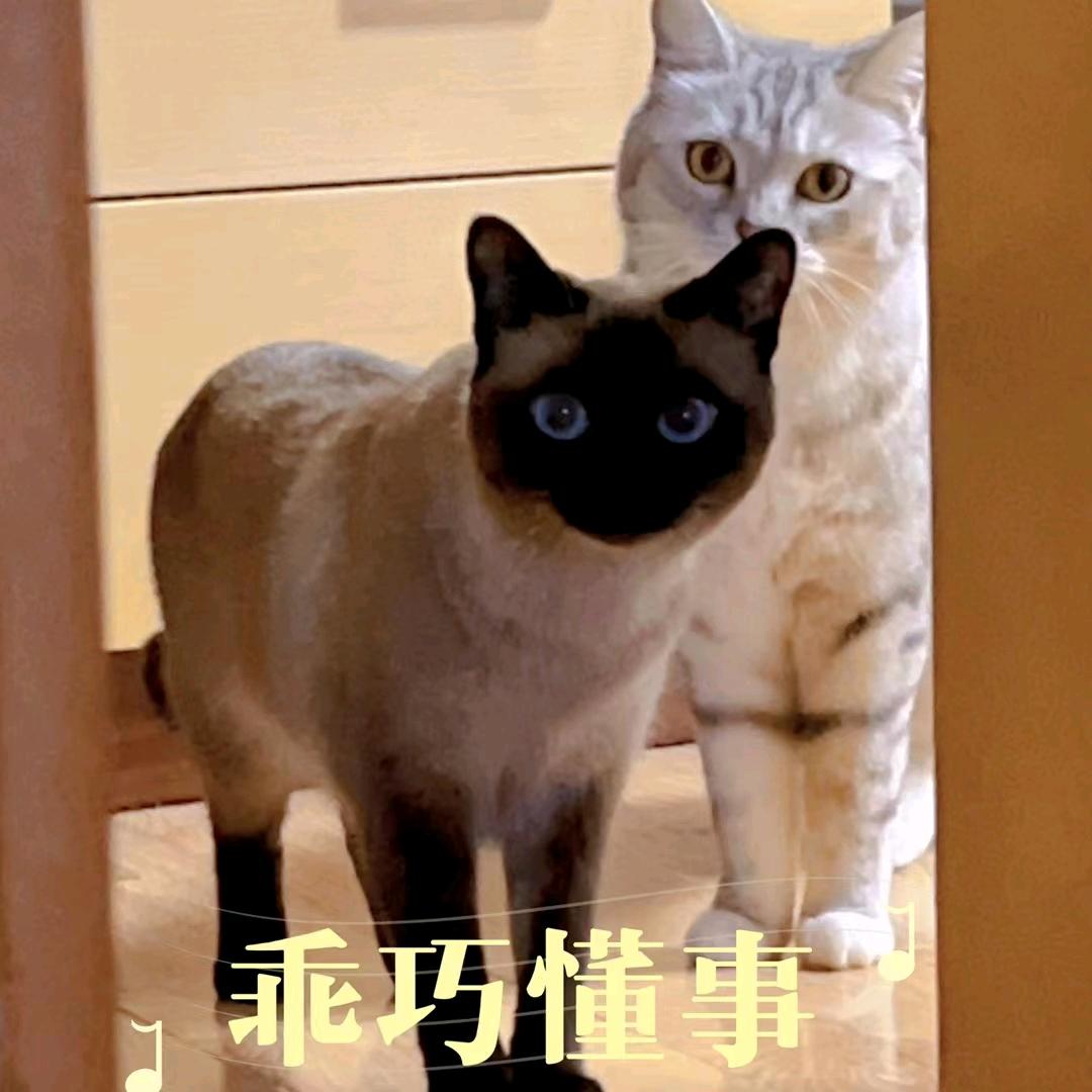 @双一和桃