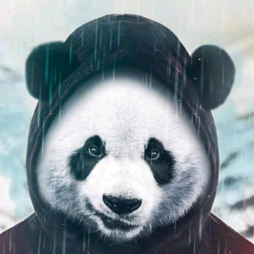 🐼 forever🌷