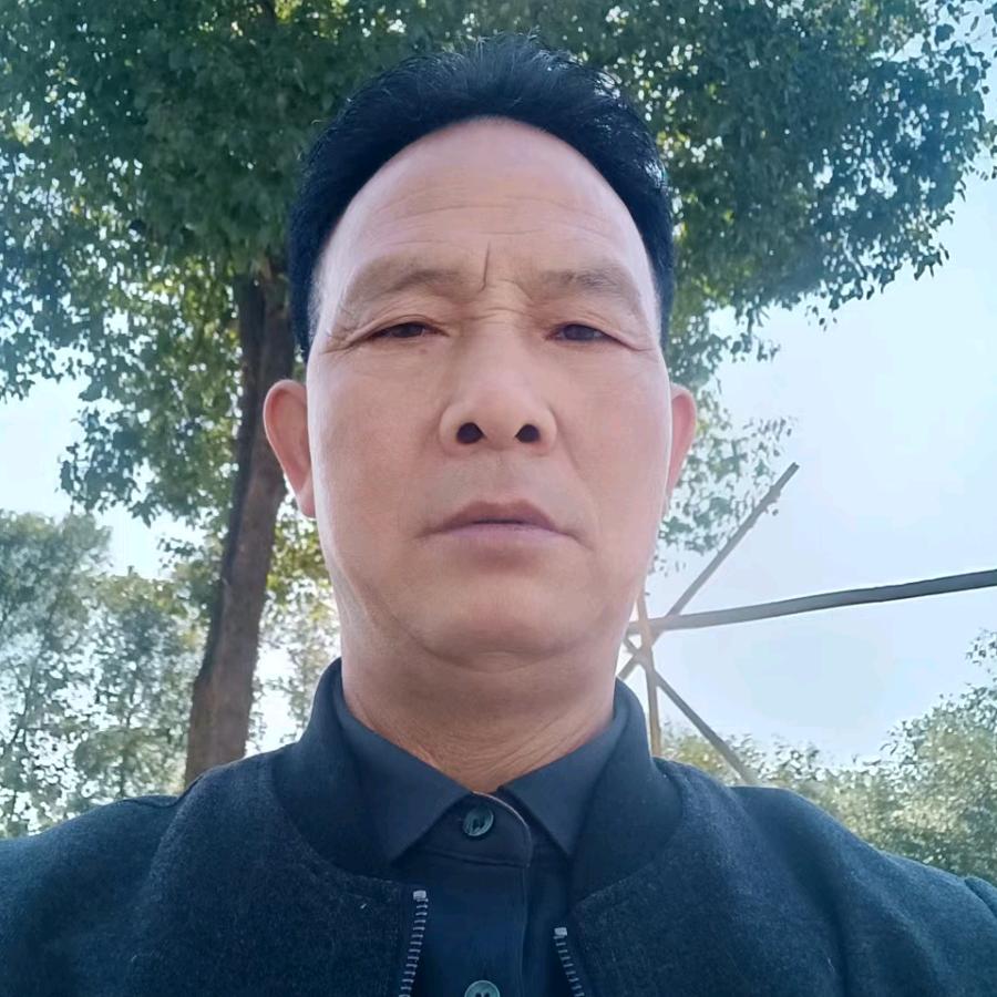 卫夫子