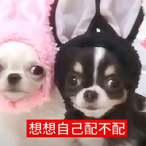 我怎么你了