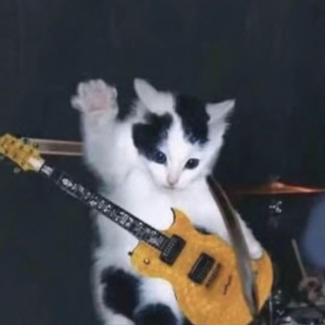 𝙈𝙘𝘿𝙤𝙣𝙖𝙡𝙙.