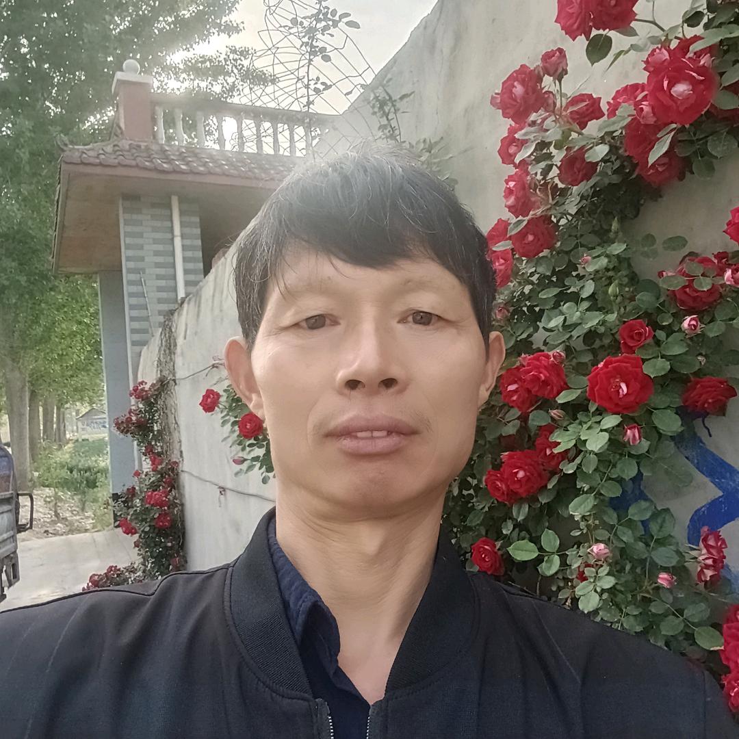 老李专业贴瓷砖。