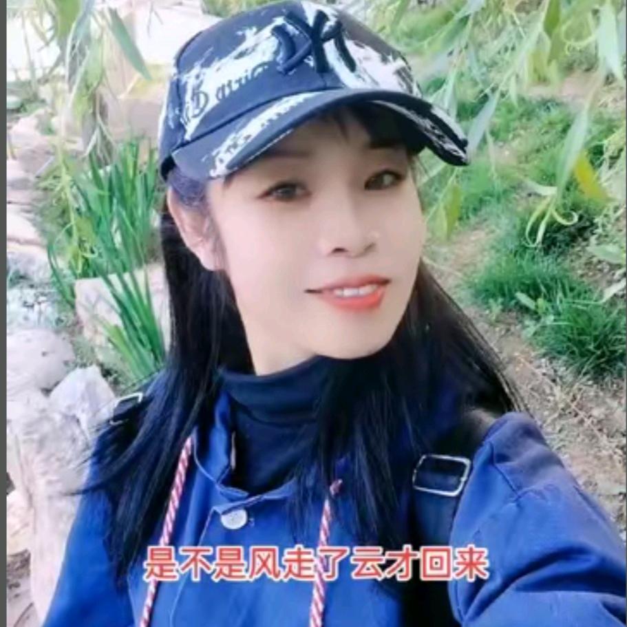紫梦竹轩