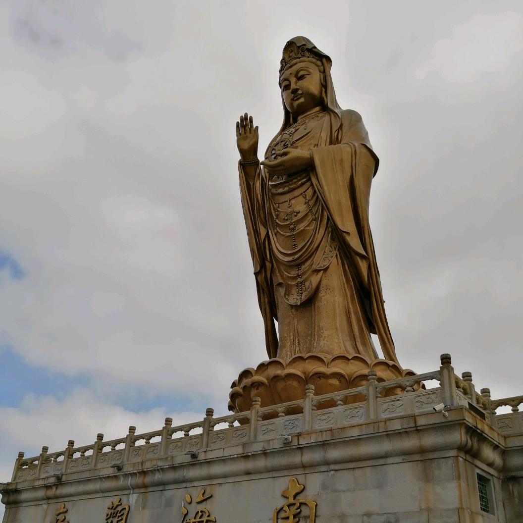 一朵莲