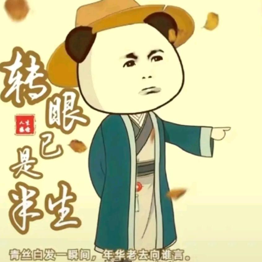 虾仁合集