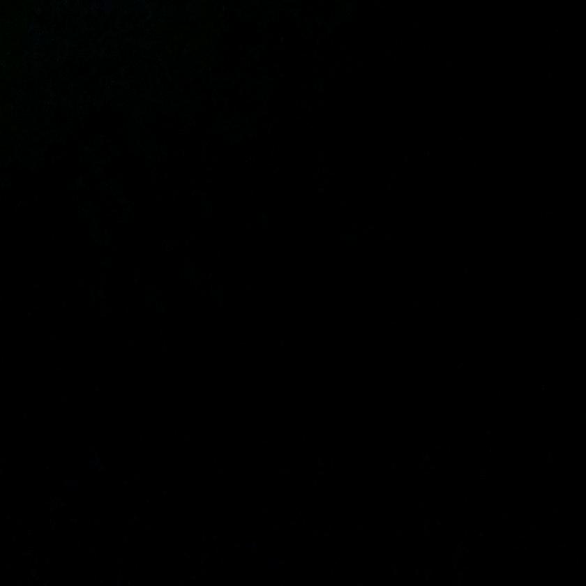 小陈随意带娃