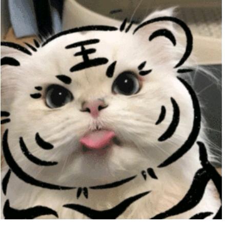 每天都要刷抖音