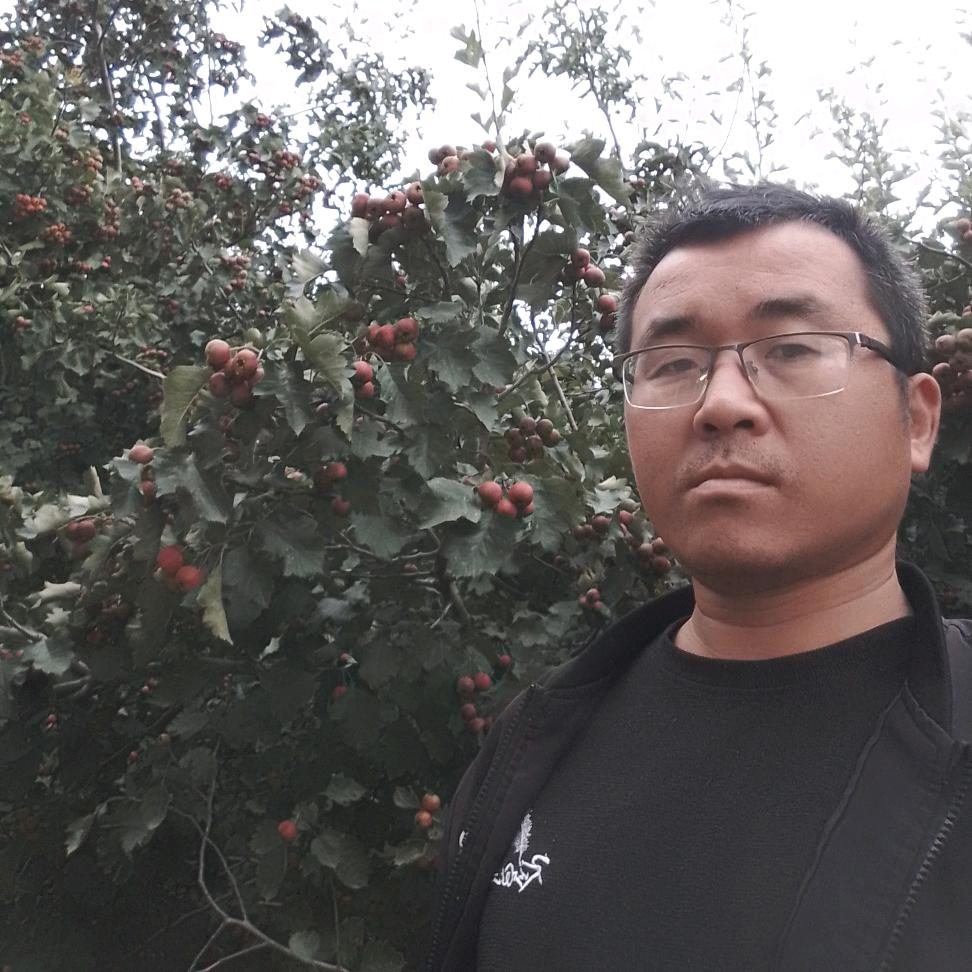 刚仔农人